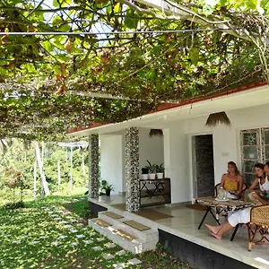  Bed & Breakfast Point Break