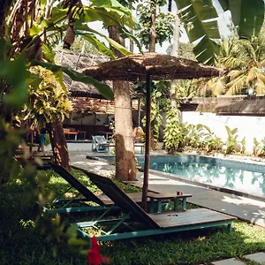  Bed & Breakfast Paddlecult Surf Retreat